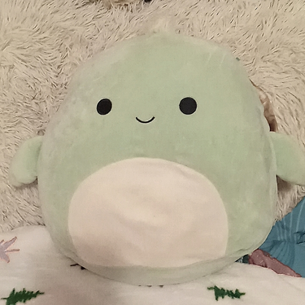 "12IN" ANTONIO THE TURTLE